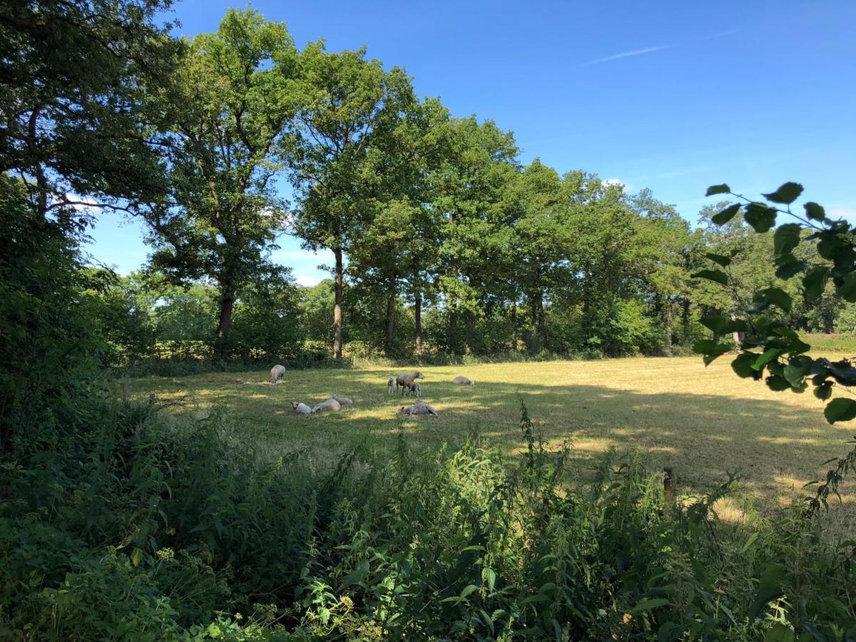 Klein Bosland by Logeren bij Saar Villa Wijnjewoude Buitenkant foto