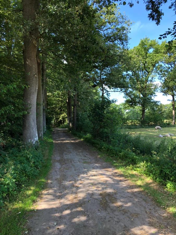 Klein Bosland by Logeren bij Saar Villa Wijnjewoude Buitenkant foto