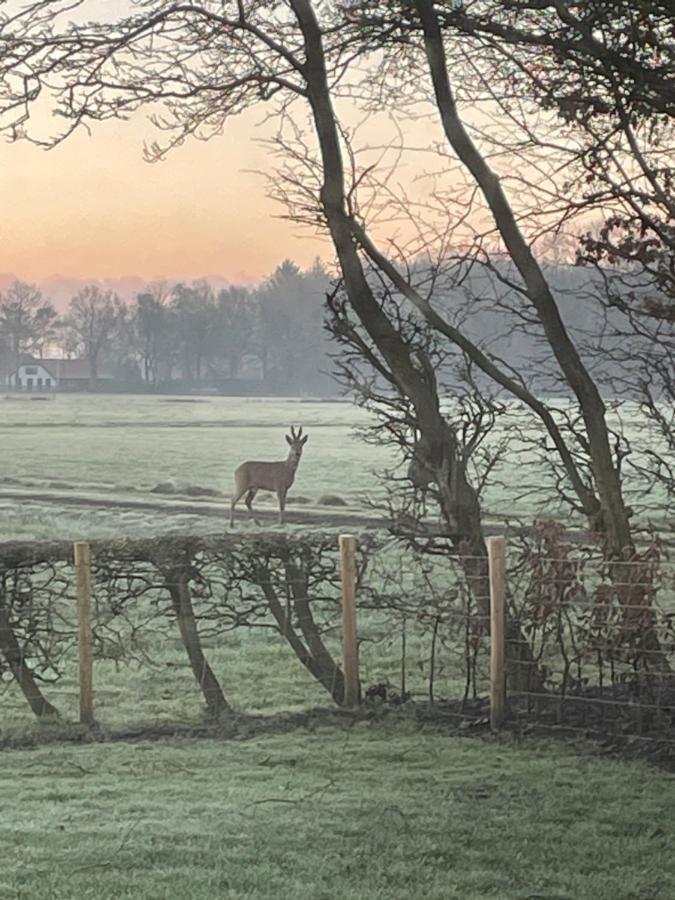 Klein Bosland by Logeren bij Saar Villa Wijnjewoude Buitenkant foto