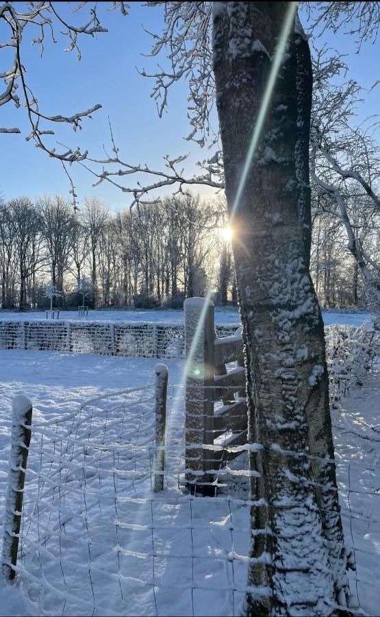 Klein Bosland by Logeren bij Saar Villa Wijnjewoude Buitenkant foto
