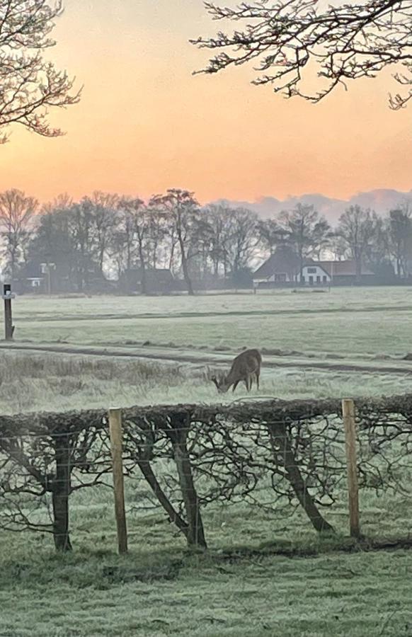 Klein Bosland by Logeren bij Saar Villa Wijnjewoude Buitenkant foto