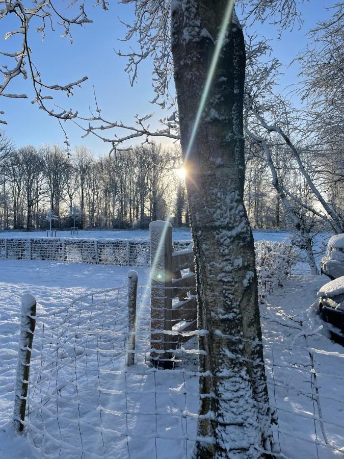 Klein Bosland by Logeren bij Saar Villa Wijnjewoude Buitenkant foto
