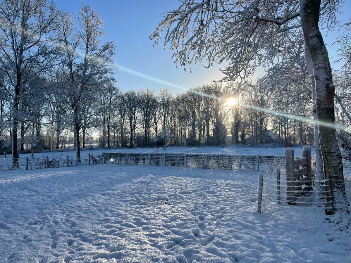 Klein Bosland by Logeren bij Saar Villa Wijnjewoude Buitenkant foto